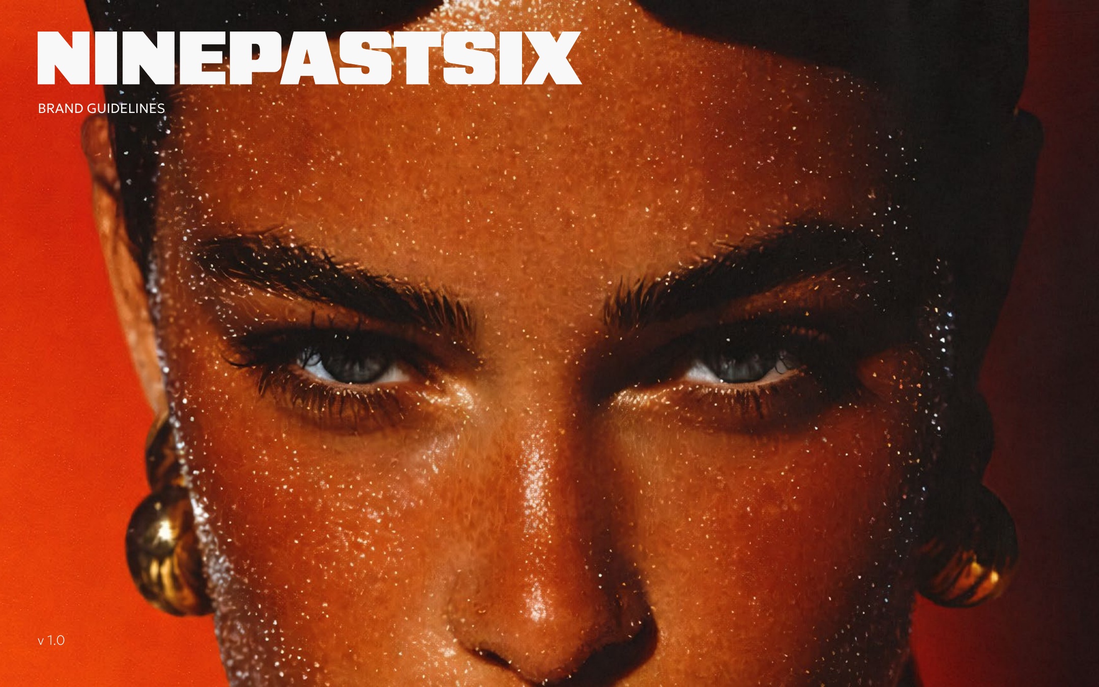 Cover of the existing NinePastSix brand guidelines.